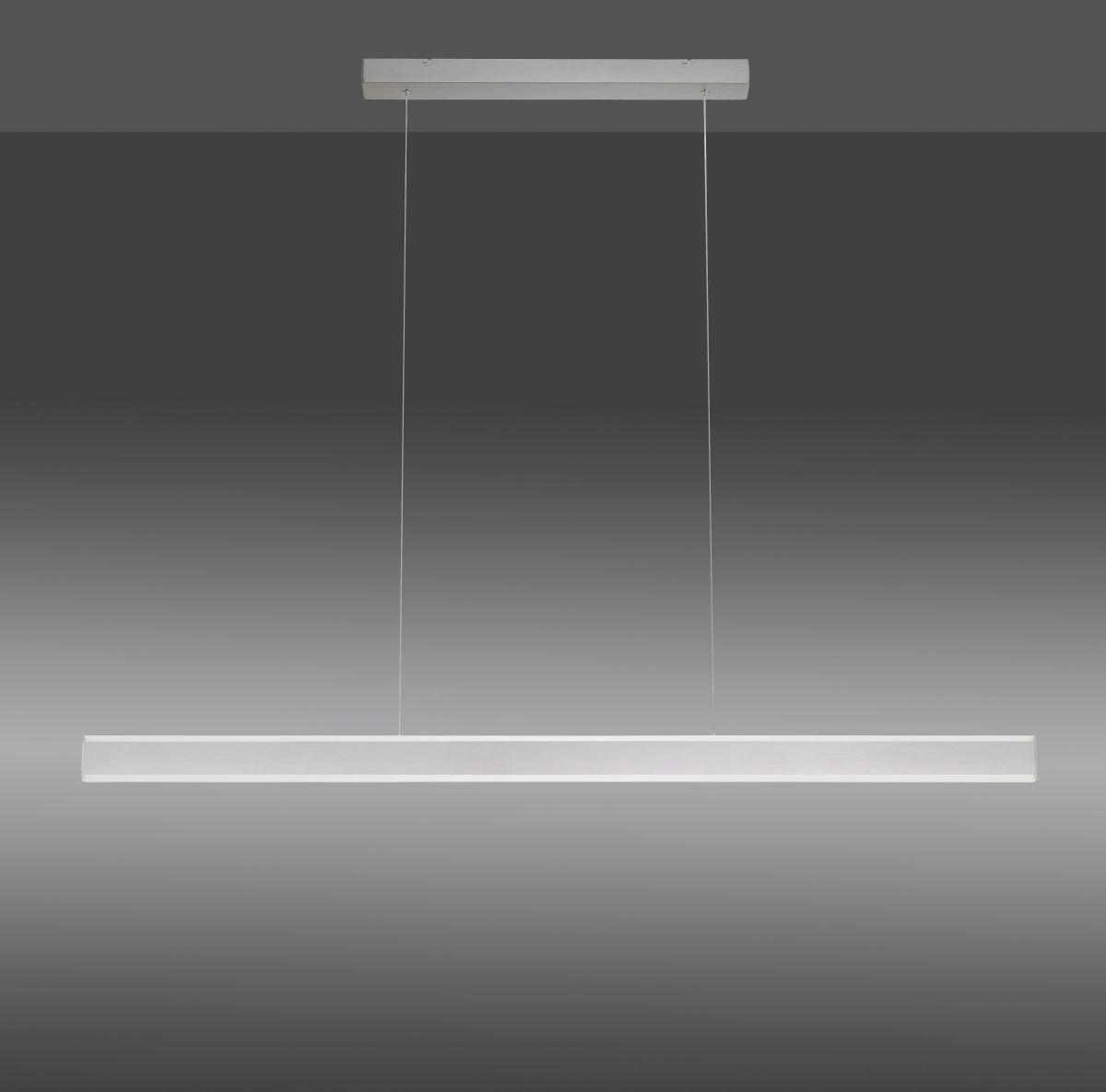 Pendelleuchte Arina 8364-55 stahl