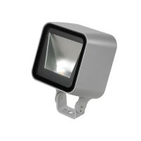 LED-Strahler 8204055190