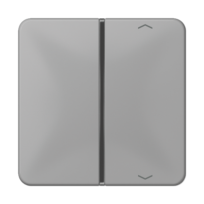 Taste 1-fach CD 401 TSAP GR grau Taste 1-fach CD 401 TSAP GR grau