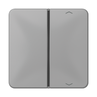 Taste 1-fach CD 401 TSAP GR grau