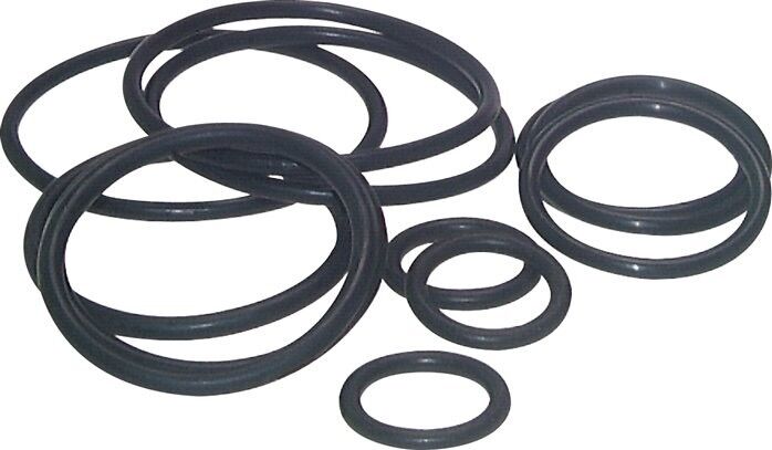 O-Ring OR 402X3,5 V