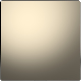 Blindabdeckung nickelmetallic Blindabdeckung nickelmetallic