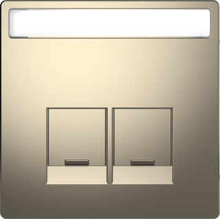 Zentralplatte 2-fach nickelmetallic MEG4574-6050 Zentralplatte 2-fach nickelmetallic MEG4574-6050