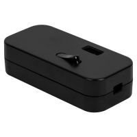 Schnurschalter 250V/2,5A mit USB