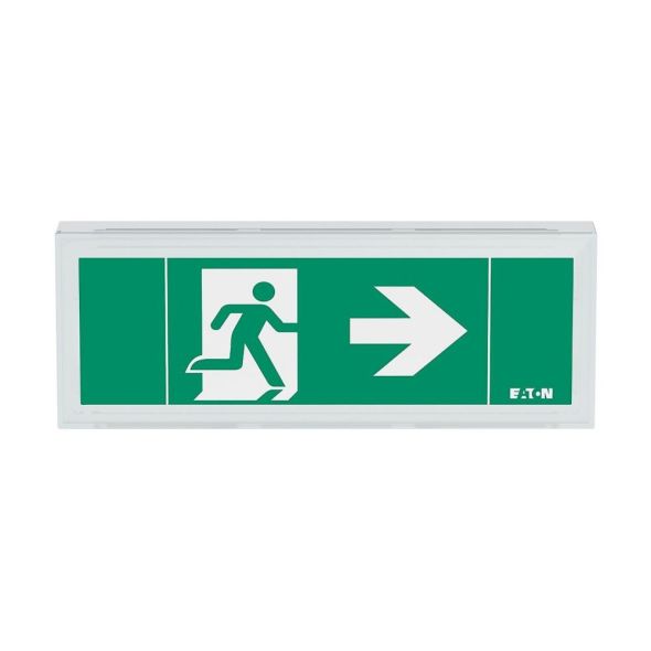 LED-Rettungszeichenleuchte FT1EW4ICGSIP LED-Rettungszeichenleuchte FT1EW4ICGSIP