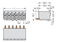 1-Leiter-THT-Federleiste 2092-1175/000-5000