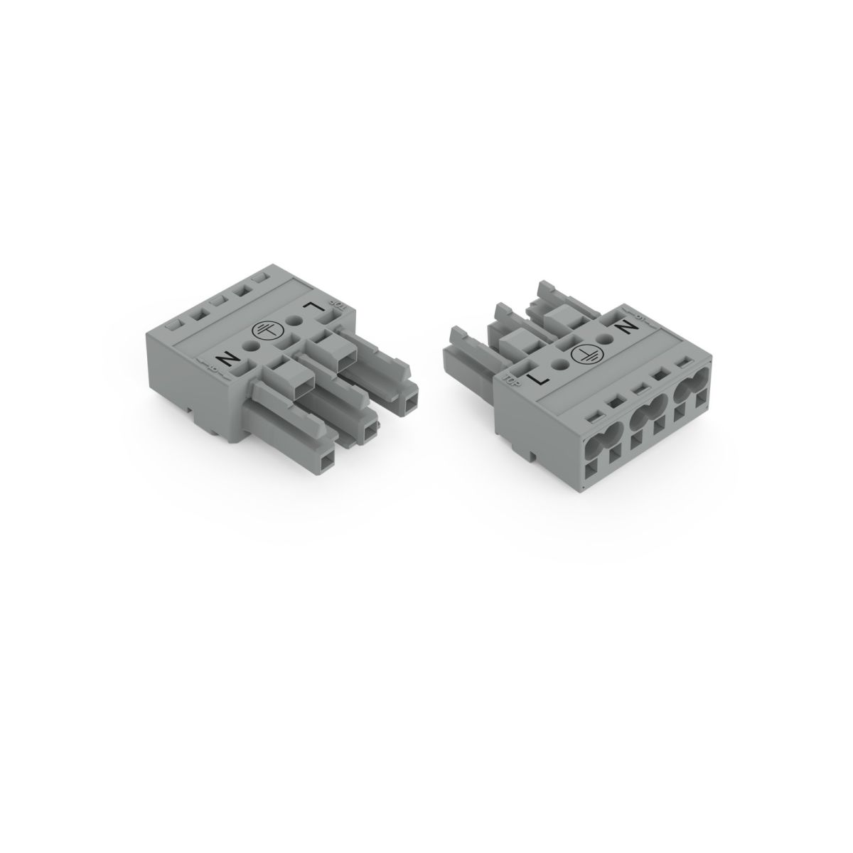 Buchse 3-polig 770-243/081-000