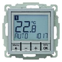 Temperaturregler 20441404 alu matt lackiert