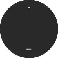 Wippe 16242045 schwarz glänzend