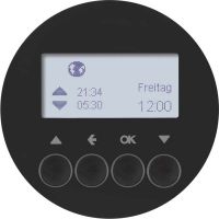 Jalousie-Schaltuhr 85741131 schwarz glänzend