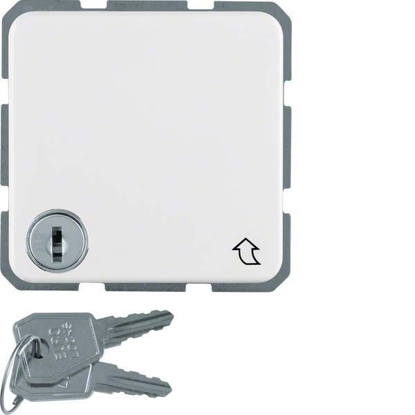 SCHUKO-Steckdose 476309 polarweiß glänzend SCHUKO-Steckdose 476309 polarweiß glänzend