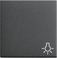 Wippe Licht anth 028528