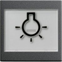 Wippe Licht anth 021628