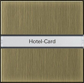 Hotel-Card-Taster BSF brz 0140603