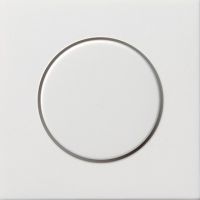 Dimmer-Abdeckung rws-gl 0650112