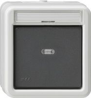 Kontr.Wechselschalter gr 011631