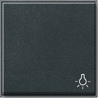 Wippe Licht anth 028567