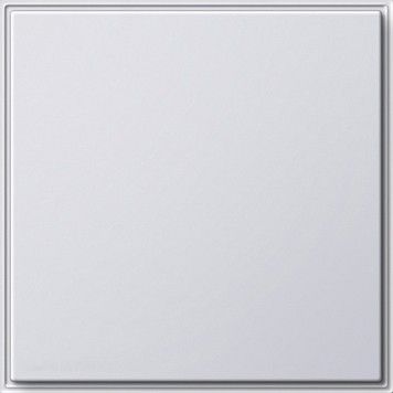 Blindabdeckung rws 026866