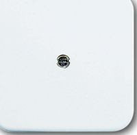 Zentralscheibe aws VDo 2536-214