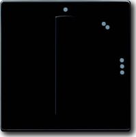 Zentralscheibe anth 2542 DR/02-81