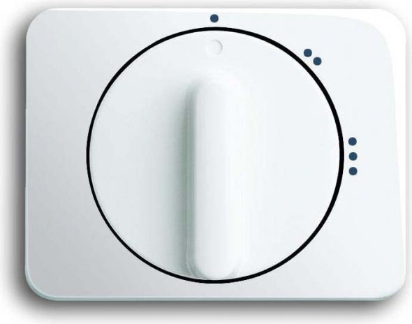 Zentralscheibe stws gl 2542 DR/02-24G Zentralscheibe stws gl 2542 DR/02-24G