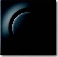 Bedienelement,Busch-Memory 6543-775-101