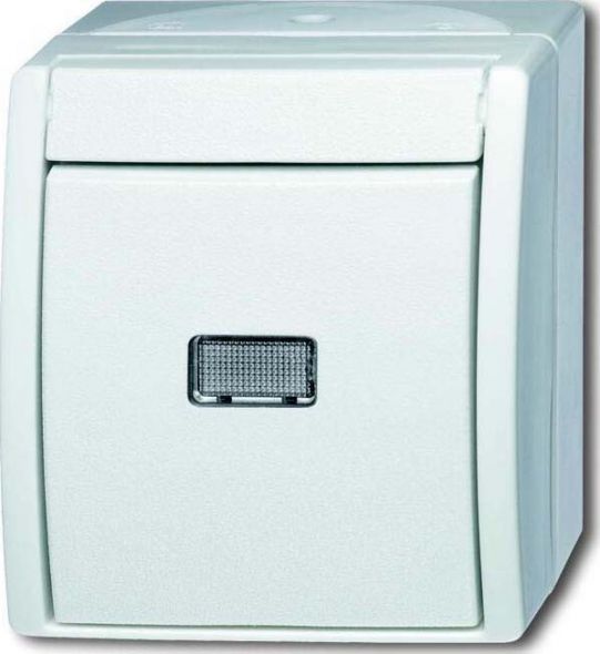 Wipptaster,mit Beleuchtung 2621 WGL-54 Wipptaster,mit Beleuchtung 2621 WGL-54