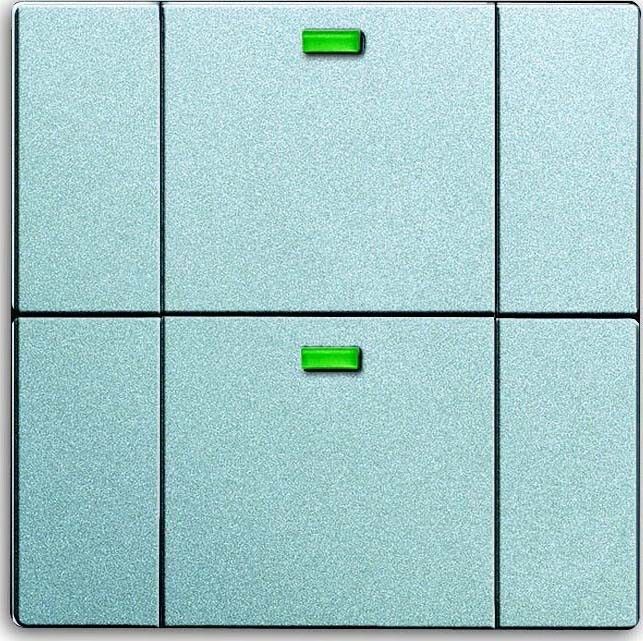 Bedienelement 2-fach 6732-83 Bedienelement 2-fach 6732-83