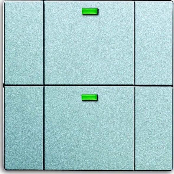Bedienelement 2-fach 6732-83 Bedienelement 2-fach 6732-83