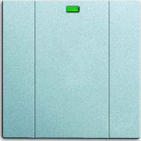 Bedienelement 1-fach 6731-83