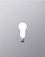 Metall-Abdeckung 009830