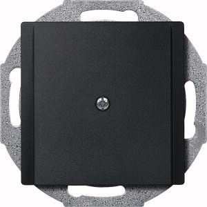 Zentralplatte anth 295614 Zentralplatte anth 295614