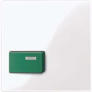 Zentralplatte aws/gl 451525 Zentralplatte aws/gl 451525