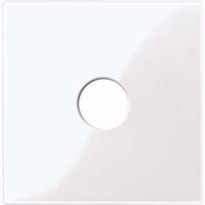 Zentralplatte aws/gl 451825 Zentralplatte aws/gl 451825
