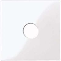 Zentralplatte aws/gl 451825