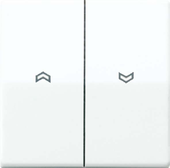 Wippe Symbole ws AS 591-5 P BF