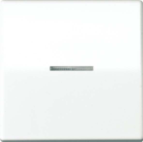Wippe Lichtleiter aws AS 591 KO5BFS WW