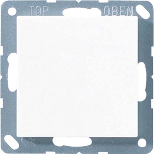 Blind-Abdeckung A 594-0 GN Blind-Abdeckung A 594-0 GN