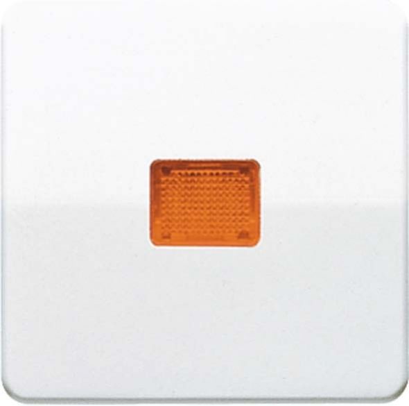 Wippe Lichtfenster aws CD 590 KOBF WW Wippe Lichtfenster aws CD 590 KOBF WW