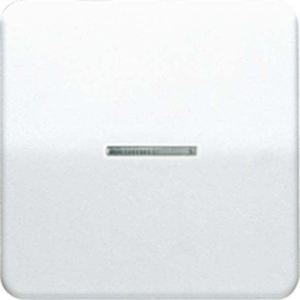 Wippe Lichtleiter br CD 590 KO5 BR