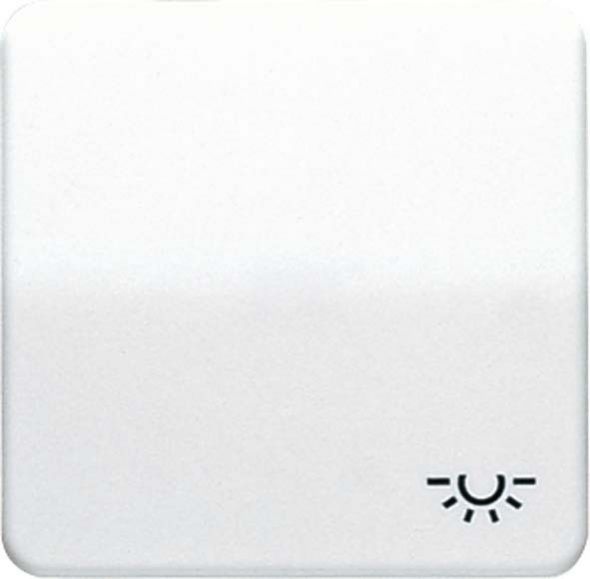 Wippe Symbol LICHT gr CD 590 L GR Wippe Symbol LICHT gr CD 590 L GR