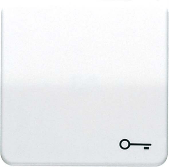 Wippe Symbol TÜR gr CD 590 T GR Wippe Symbol TÜR gr CD 590 T GR