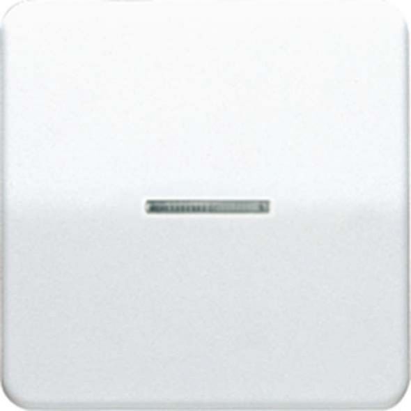 Wippe Lichtleiter sw CD 590 KO5 SW Wippe Lichtleiter sw CD 590 KO5 SW