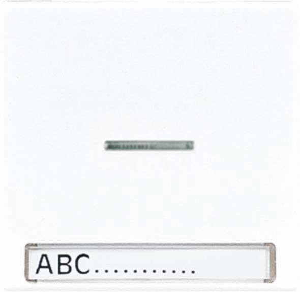 Wippe Licht./Schriftf.lgr LS 990 NAKO5 LG Wippe Licht./Schriftf.lgr LS 990 NAKO5 LG