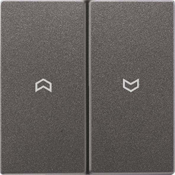 Wippe Symbole anth AL 2995 P AN