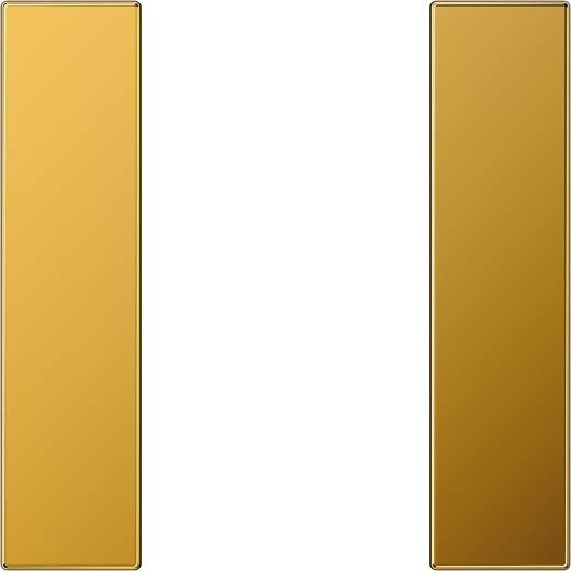 Tastensatz 1-fach LS 501 TSA GGO vergoldet Tastensatz 1-fach LS 501 TSA GGO vergoldet