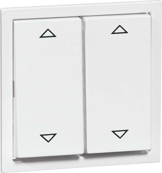 Wippe Gruppentaster D 20.244.02 T Wippe Gruppentaster D 20.244.02 T