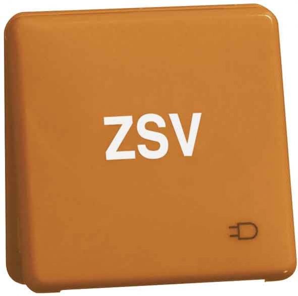 Steckdose D80.6611K GLK OR ZSV Steckdose D80.6611K GLK OR ZSV