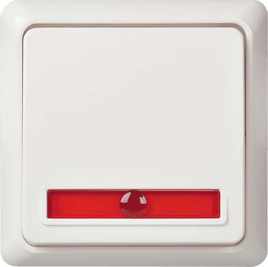 Wechselkontrollschalter 10A rw 501624 Wechselkontrollschalter 10A rw 501624
