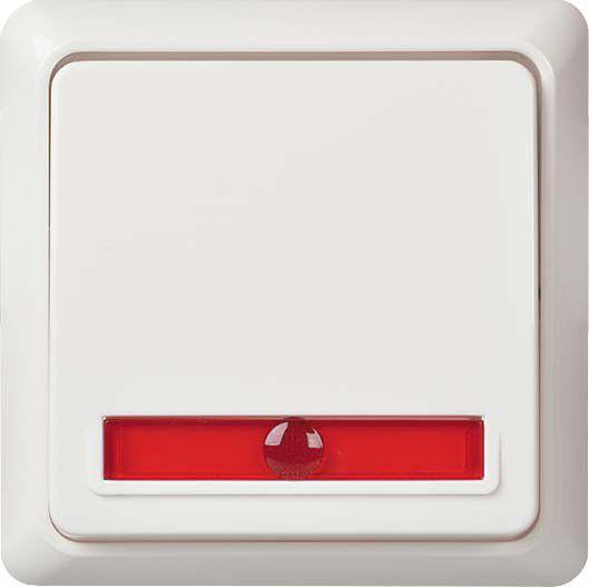 Wechselkontrollschalter 10A rw 501624 Wechselkontrollschalter 10A rw 501624